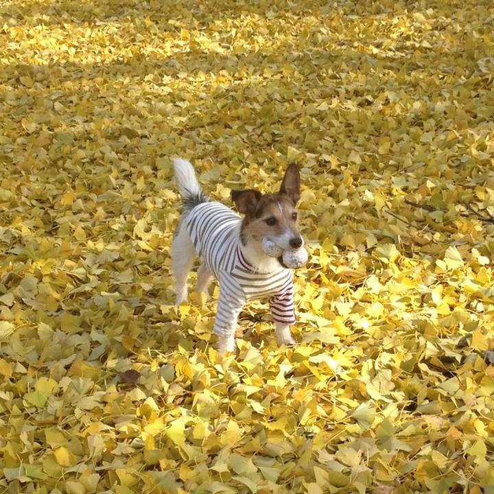 C2bdb085 8774 4ec3 a062 387c92caf5f6 1512341594343