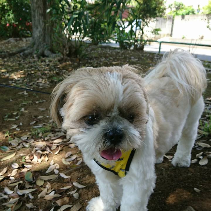 C2bdb08a d0ce 4846 b217 e0acdac360fd 1557107332662