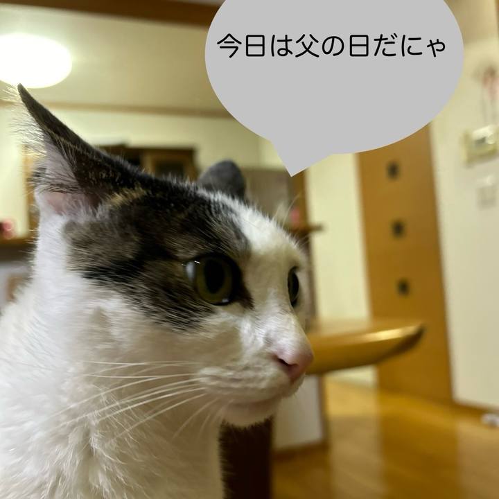 C2bdc347 362c 4892 9e31 17a7ca49c643 1718542077383