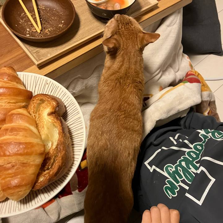 C2bdcd3f 2904 4945 8eab 3fc5a8b1b00a 1762858610020