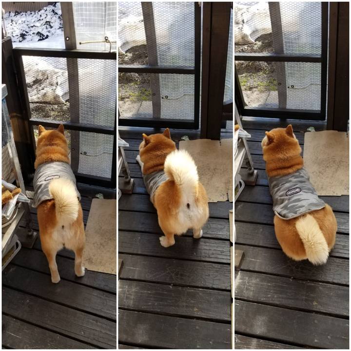 C2be0e06 d2e2 46d4 99ed df6f1efe942a 1648855800521