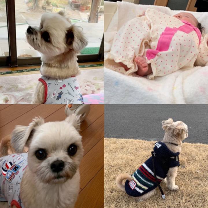 C2be41f4 7142 4ec5 8280 3624a5e5f394 1551618618815