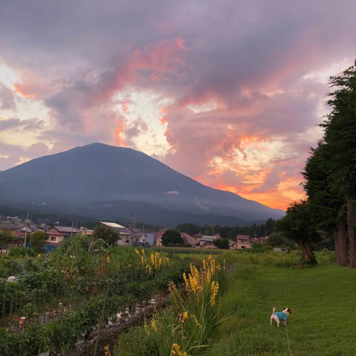 C2be534c 17f7 4283 996f df5adbffa6aa 1565348283253