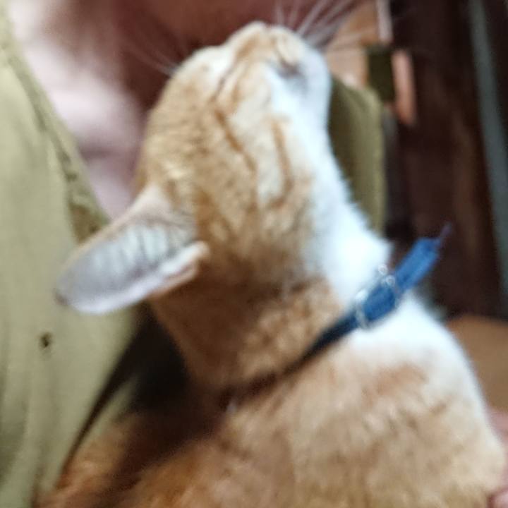 C2be54db 91cd 4946 91bc bdd2e8814c45 1597955187750