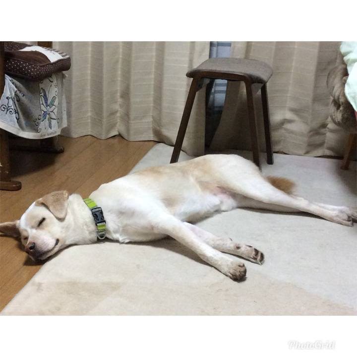 C2be76ff d4ce 4490 863f 7074a806e683 1524657346098