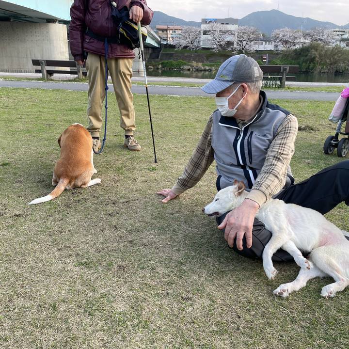 C2beddf2 1909 4d78 a1b1 a191704106ed 1679916371329