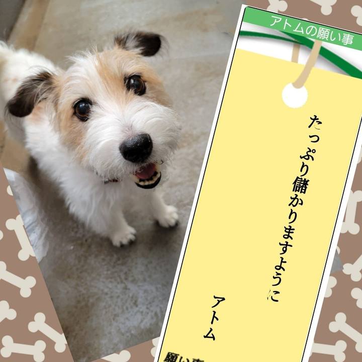 C2bee1ec 6815 4315 acff ae58a9849c33 1688681629304
