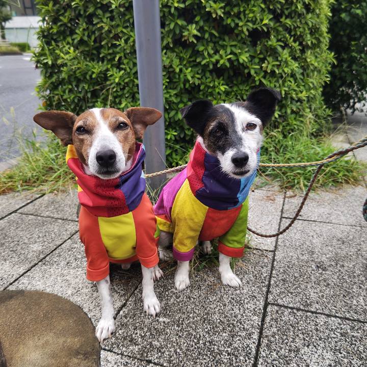 C2befd18 7bdb 49fd 9b43 c44439fb212e 1727046621554