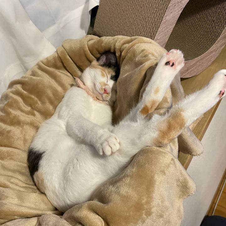 C2bf0136 beeb 495a 9b57 402c2b4ec46e 1669017170231