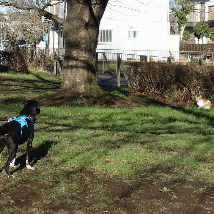 C2bf36cf f965 4608 98c6 46ce299ec450 1615680256194