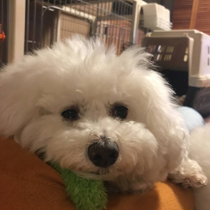 C2bf5c86 7d4b 4e34 97f5 fba203b3514a 1559398673954