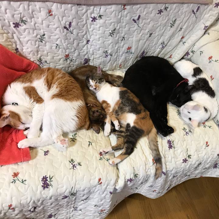 C2bf90c5 3c02 431e b74d b83e49ae92ef 1629924647904