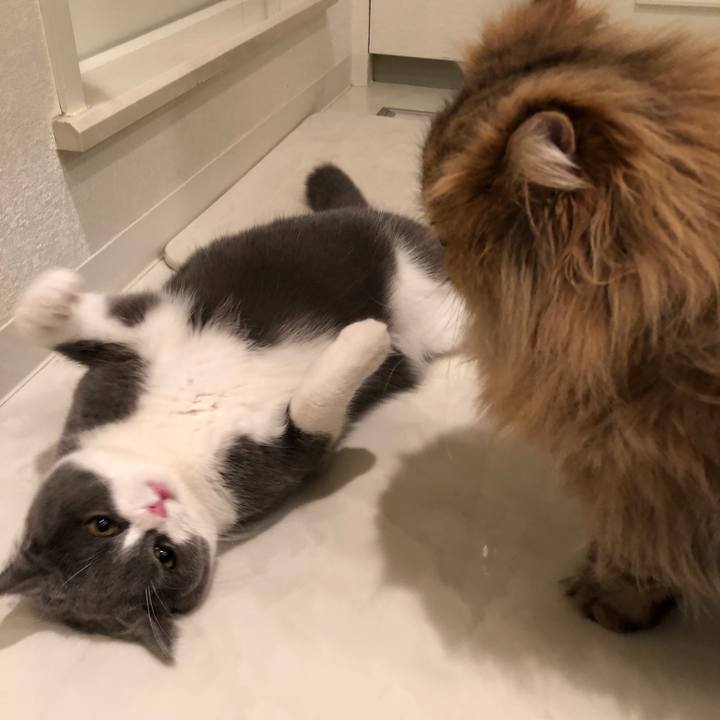 C2bfcd51 80c3 4615 9d5c 09f601e91934 1522169784479