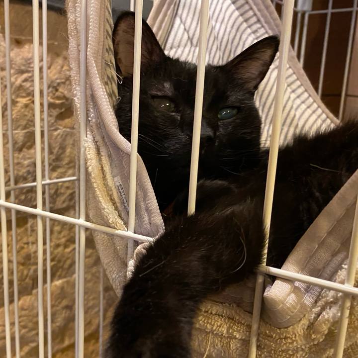 C2bffaf7 168f 4395 9f54 e34b9086684d 1595910952967