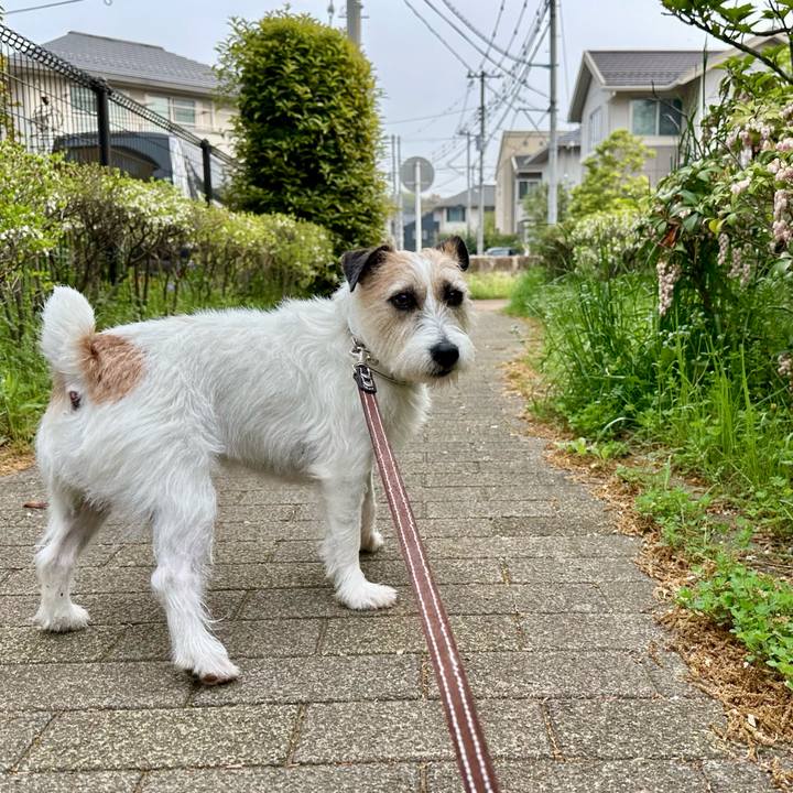 C2c007dc e787 4c84 8007 ec2dcc65d286 1744950579891