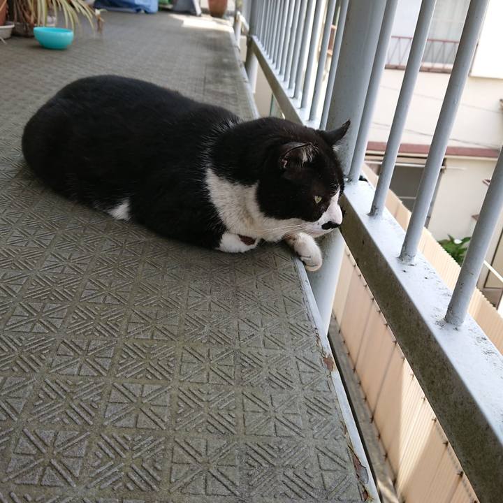 C2c036fa bc55 49ef a21b 44750ca6c532 1557637560150