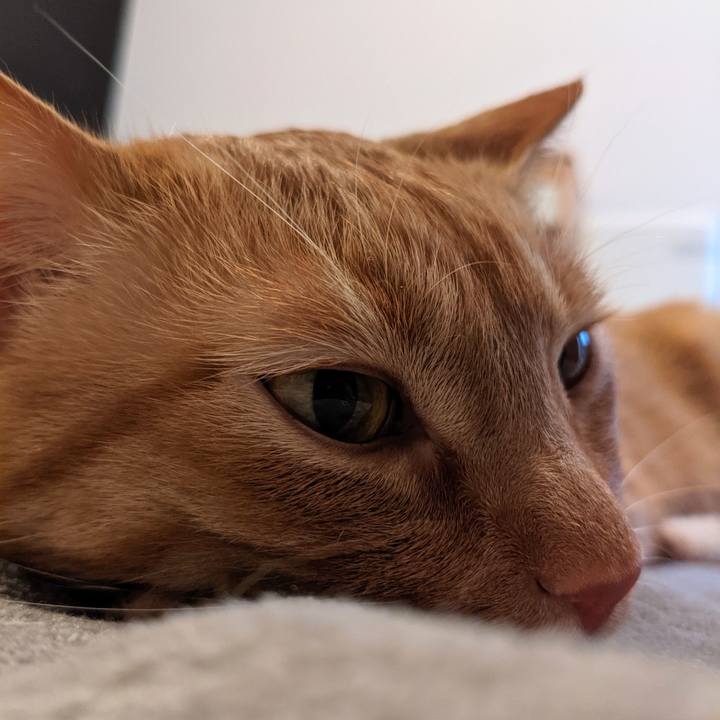 C2c04be6 d1d6 4c9f 9db2 9128ef4cb130 1619686525210