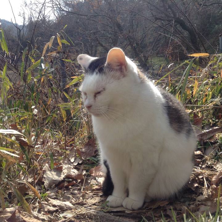 C2c0b5f6 21a6 4c66 a9b5 c206e8e2afab 1514103227810