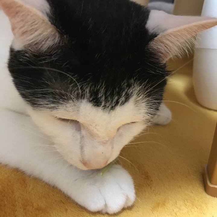 C2c0cfe3 9b2f 465b b724 9940483f9430 1530104822615