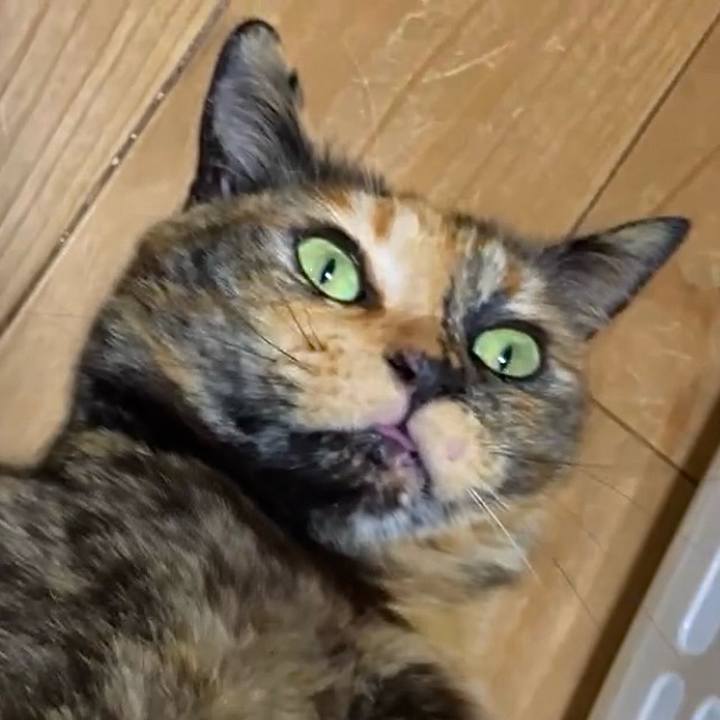 C2c0ec97 3c61 4370 9166 32257503a36e 1743019211876