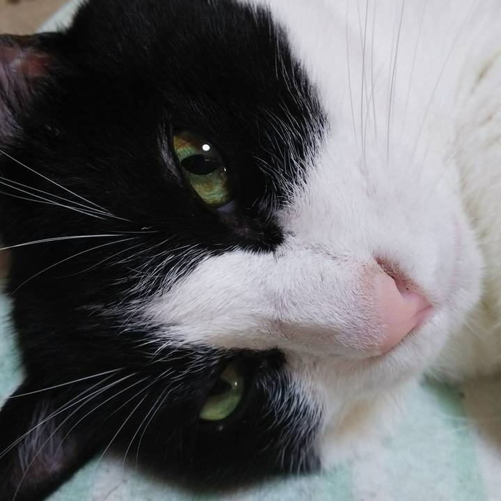 C2c1069f 0c53 4c9e ad21 fe541d4c6f66 1538881608240