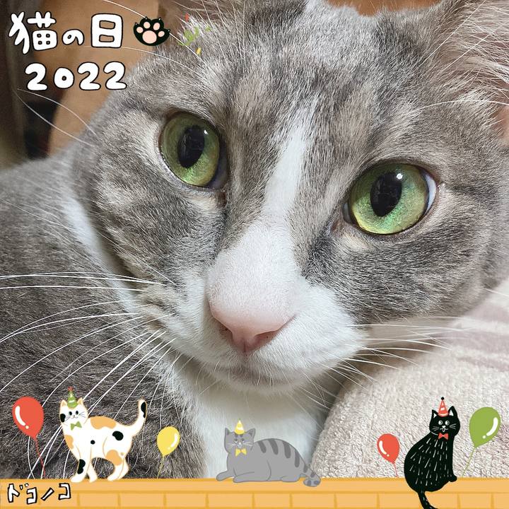 C2c10cc8 17e0 454f 8f40 3606f38de15d 1645531722624