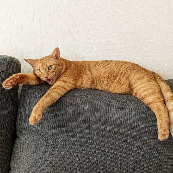 C2c10fe8 8eb0 4174 abb0 3f1540badf05 1657405731435