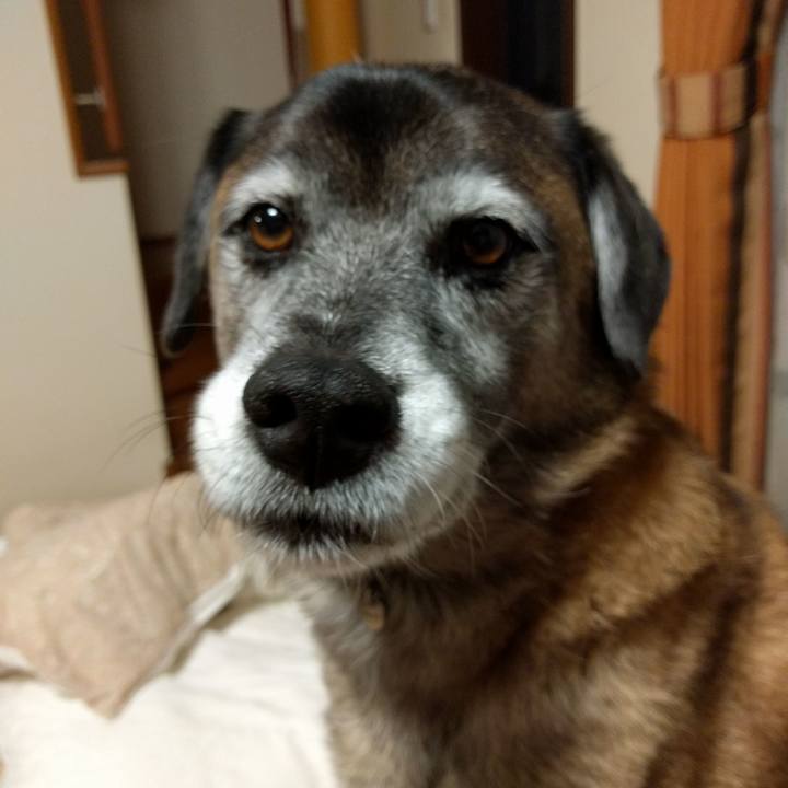 C2c11b17 35e3 465f 8240 3b4b539476ad 1511096866506