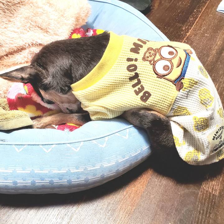 C2c13d5c 7ae9 46ea 881d bdd99932c030 1698466241817