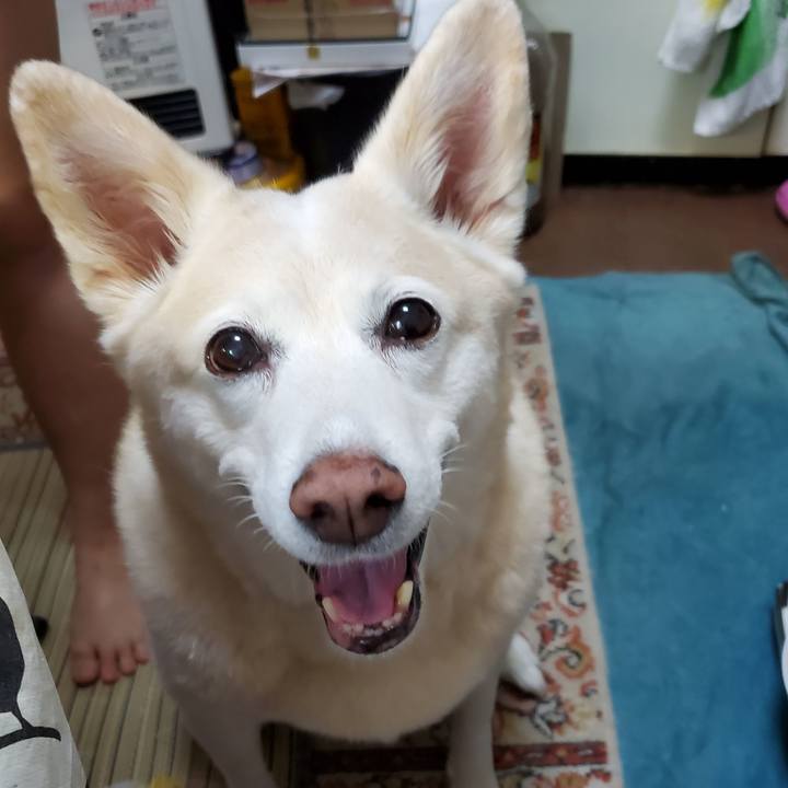 C2c158a8 3df1 4b00 b95f b7c85fe49089 1614222866076