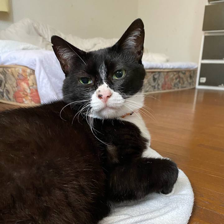 C2c15aa7 7b39 4b19 9b1c bba17a7c539a 1594367034918