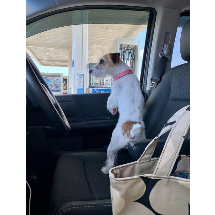 C2c1a951 f962 4613 a2ac 71f211774945 1613051692507