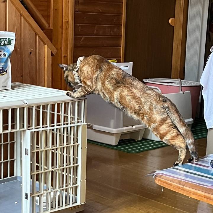 C2c1bf50 d7d7 4734 95e0 0a1d0fec6892 1686864500151