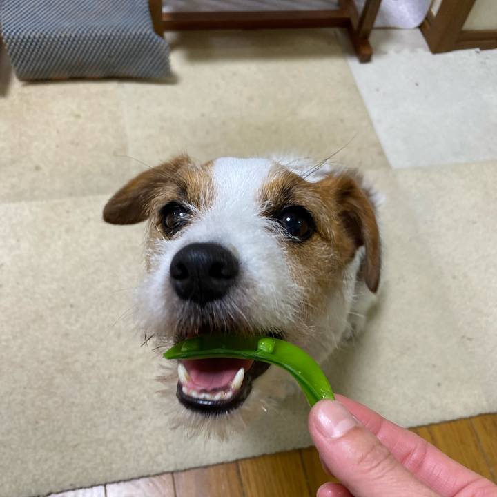 C2c1c41a dfc1 4a50 9f6a a650857a2ae0 1715517623546