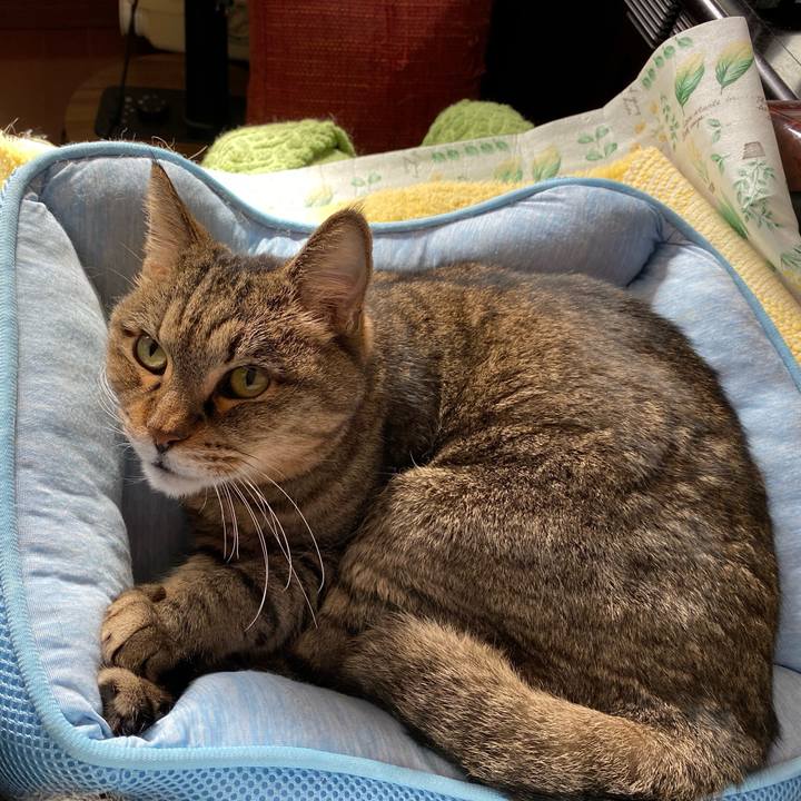 C2c1dfa4 8d3e 454f 9807 505c8a789c5a 1762834543783