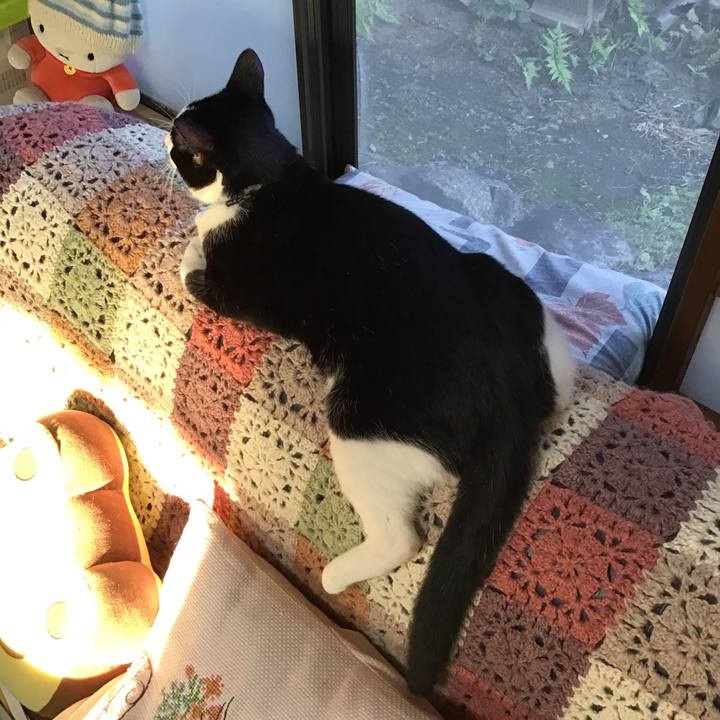 C2c21922 4841 4341 98ee 8b38466bfc5d 1634288782797