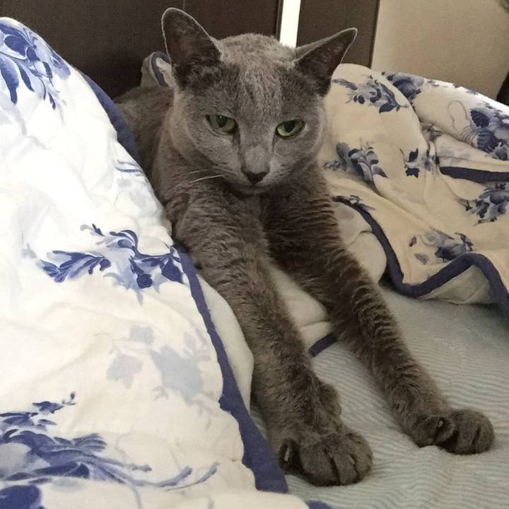 C2c263ad 3887 4b45 a4c7 f9ef55a152a6 1537916751679