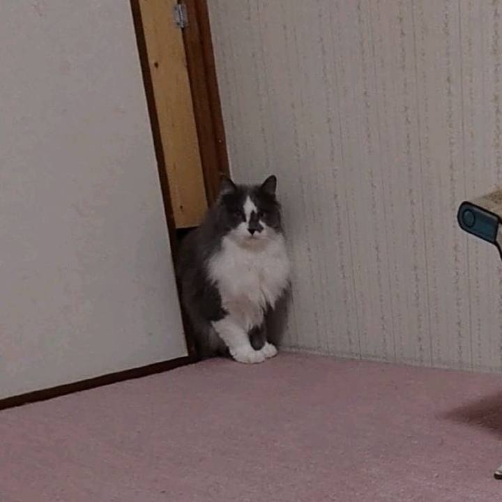 C2c2a5cf ebed 4c41 863b 0dbf23bb4a1e 1645698727465