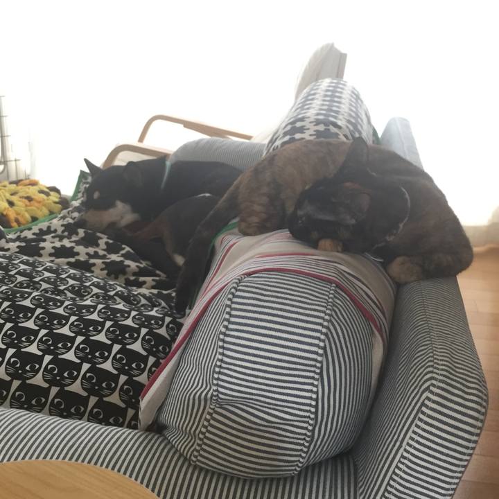 C2c2e34d 0381 45dd 951c ade10cf5e6de 1528759983268