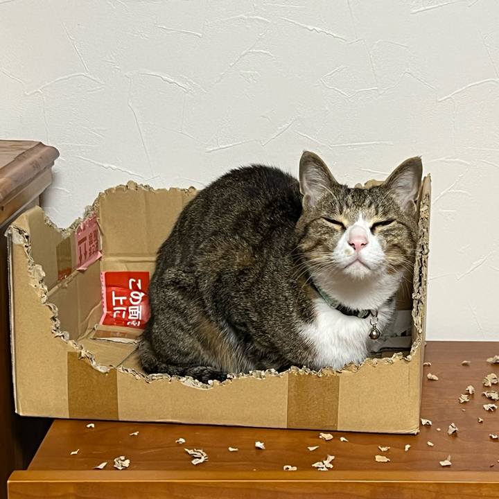 C2c2e591 73c7 4901 a2a6 e7297b65d744 1750335784140