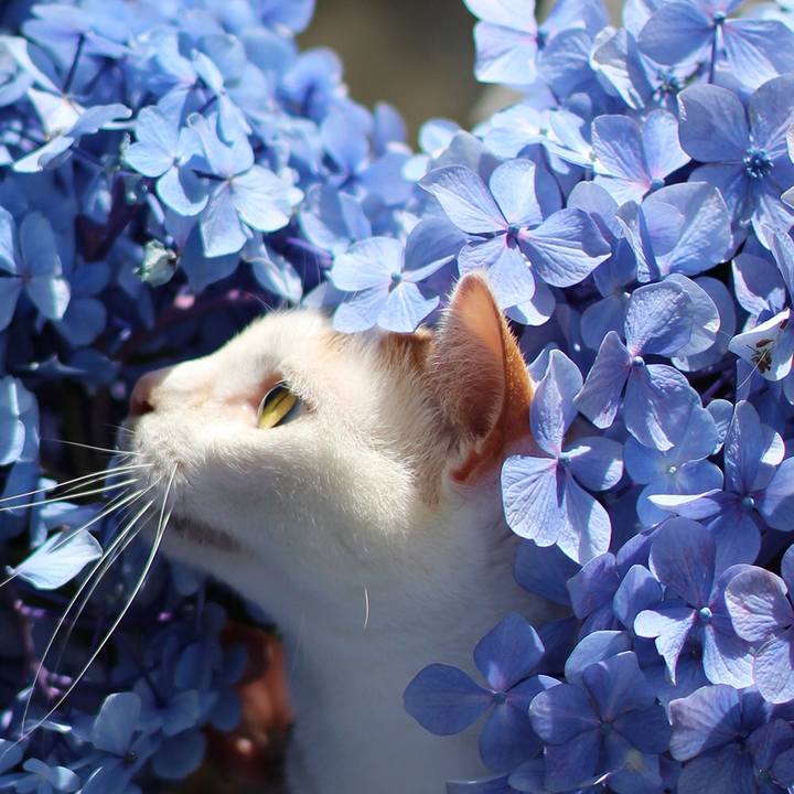 C2c38ad9 846c 4d9e 98be b129dc072ac4 1623751913315