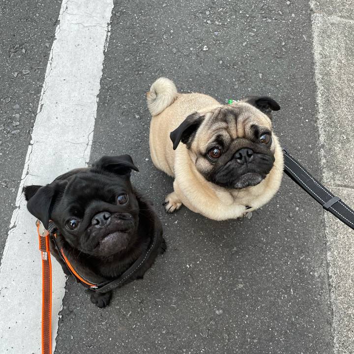 C2c3b468 5df1 4f0c bb8e 0b77f57fa62d 1619408338525