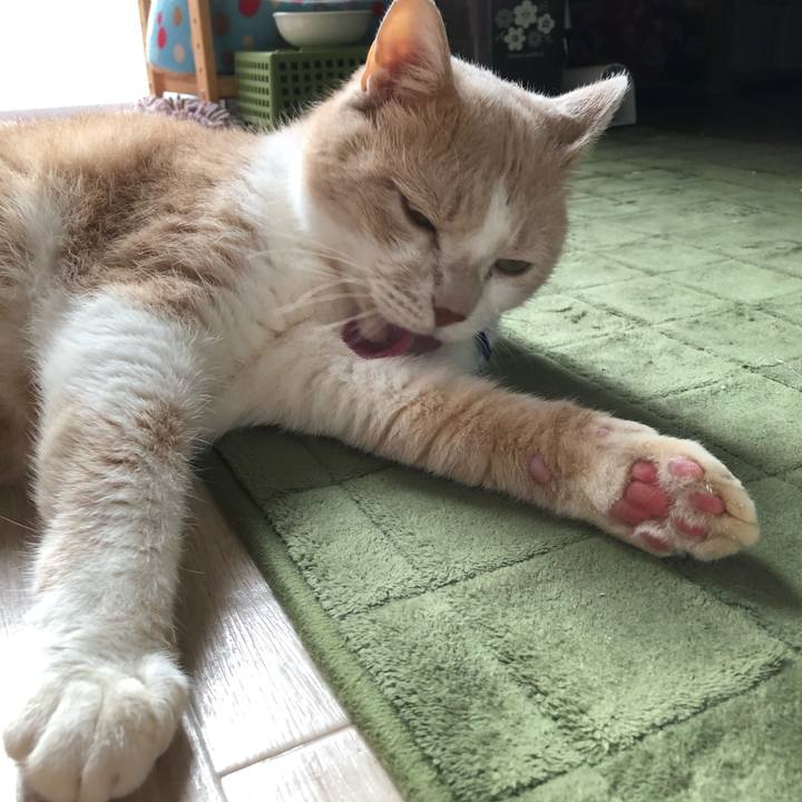 C2c3bf9a 2b4a 4cf9 9091 3034ef1a3962 1536809107241