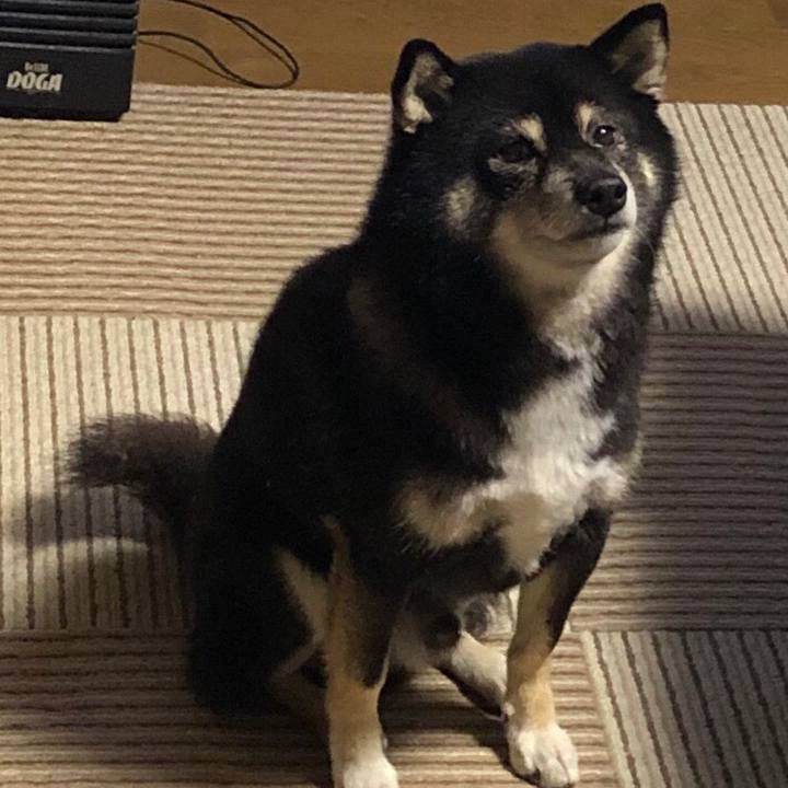 C2c40d92 b721 453b 978c 39bae7aa60a9 1603189605707