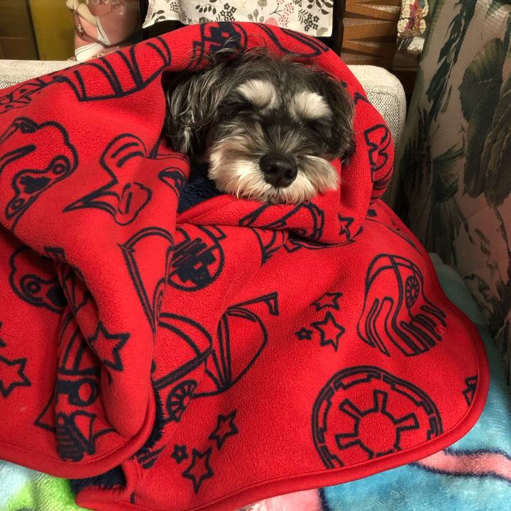 C2c46004 f9cf 40e7 8786 66e0f757ffc4 1698760387980