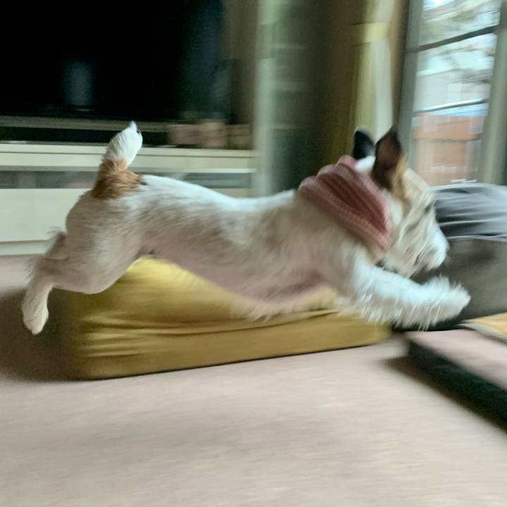 C2c462ee 56b7 434e 91e2 5c9e610ada5d 1679118253083