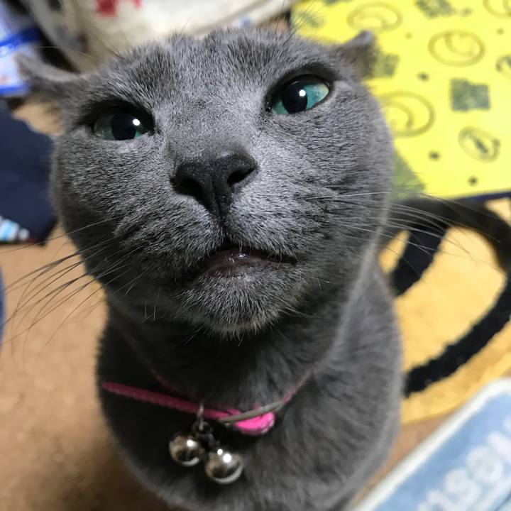 C2c4640b 89b1 4db8 bfa1 b2f03a728366 1516868270832