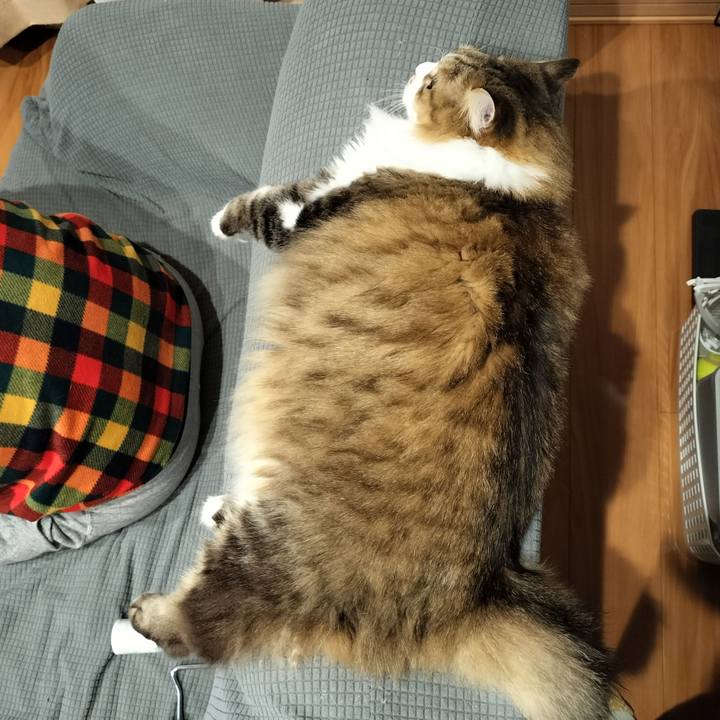 C2c486fb 98d6 42d2 8607 331bf52f4b47 1764741662130