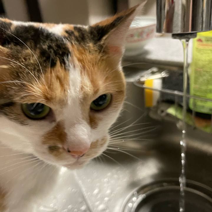 C2c48c00 75c0 4982 9d0a 0c86cd154da7 1690029024678