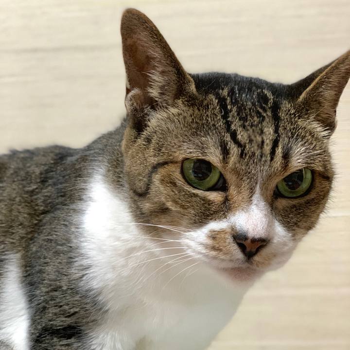 C2c543bc 84b8 4a23 b6c6 ca1e4799e5fc 1597798236659